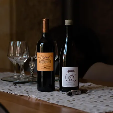 L Escale Des Vignes Proche Emilion Chateau Beynat Holiday home *